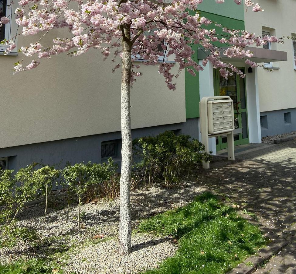 Schoene Kleine Wohnung Cottbus Ngoại thất bức ảnh